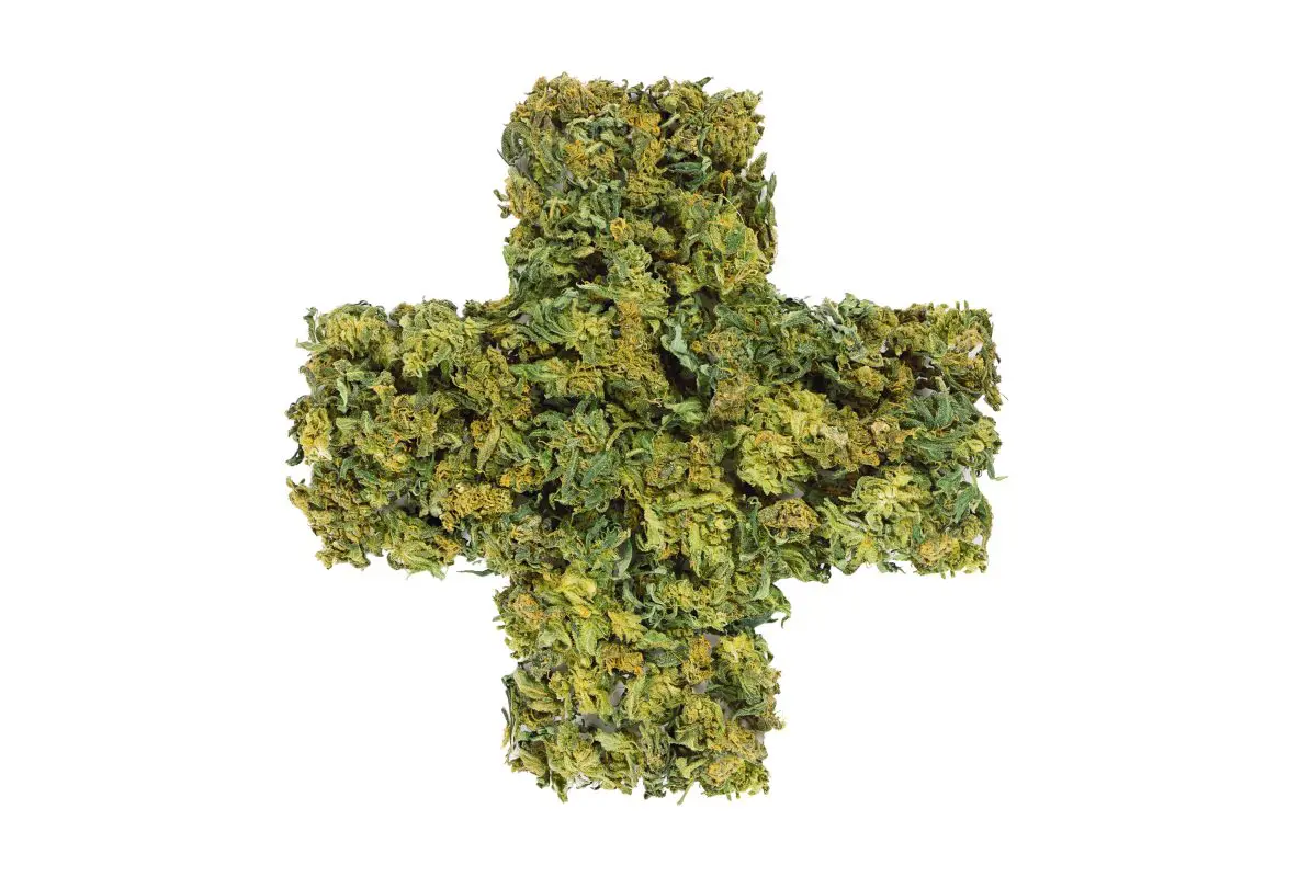 Dutch Natural Healing 12 CBD Product Logo.